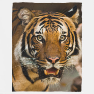 COUVERTURE POLAIRE TIGER