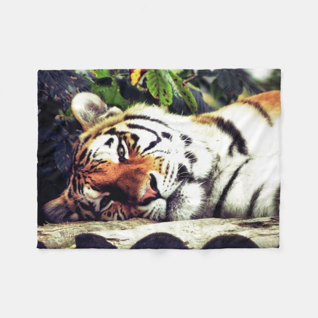 Couverture Polaire Tigre d'escalier (Devant (Horizontal))