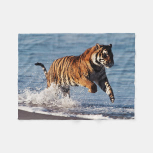 Couverture Polaire Tigre du Bengale (Panthera Tigris)