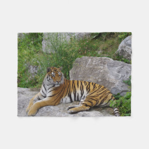 Couverture Polaire Tigre sur un rocher