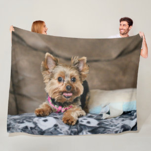 Couverture Polaire Tiny dynamo
