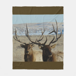 Couverture Polaire Tir double tête d'élan mâle E45