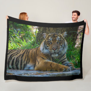 Couverture Polaire Tony Fleece Blanket