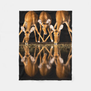 Couverture Polaire Trois impalas boivent ensemble la nuit