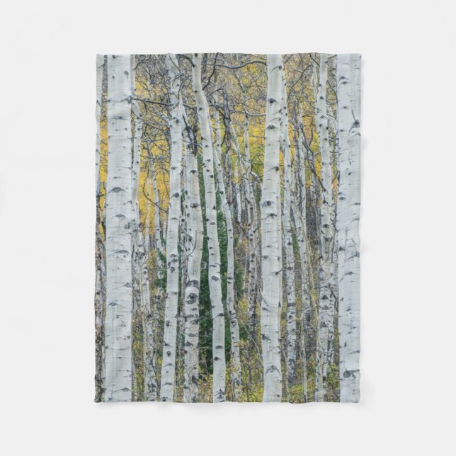 Couverture Polaire Troncs d'arbre d'Aspen | Aspen, Colorado (Devant)