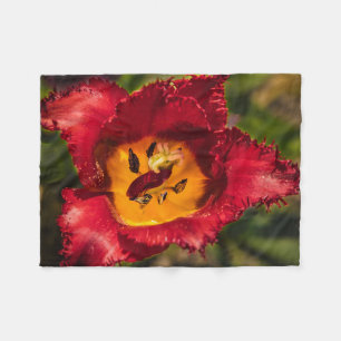 Couverture Polaire Tuliforme rouge