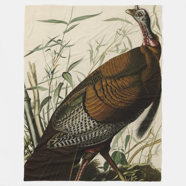 Couverture Polaire Turquie sauvage (mâle) des oiseaux d'Amérique d'Au (Devant)