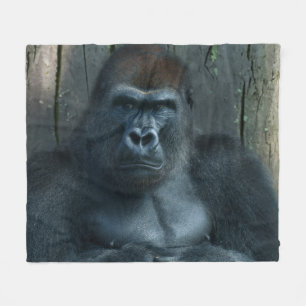 Couverture Polaire Un Silverback en devenir