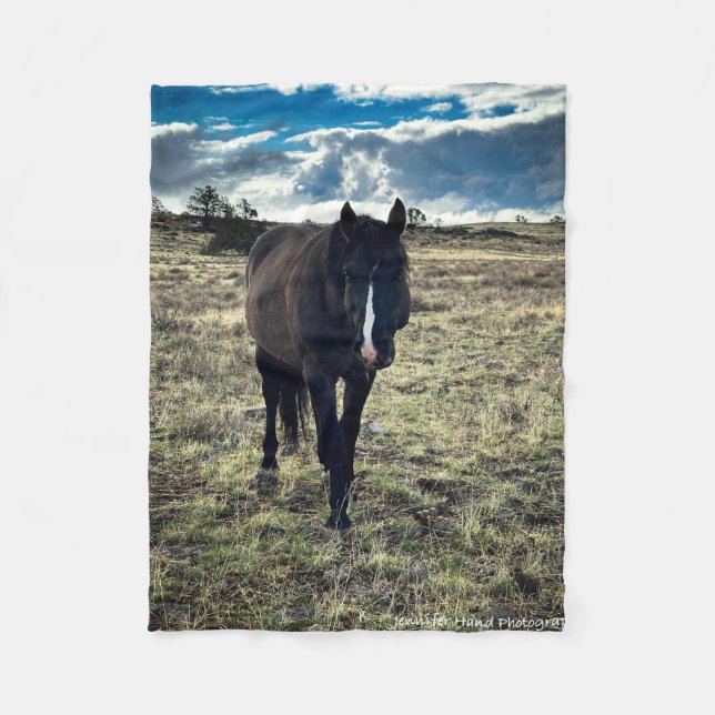 Couverture Polaire Valeur (Devant)