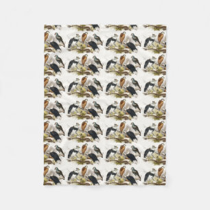 Couverture Polaire vautour