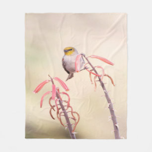 Couverture Polaire Verdin perché sur le pénis
