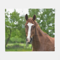 Visage de cheval avec l'inscription