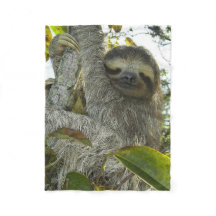 Vivre la vie comme une Sloth