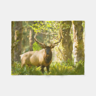Couverture Polaire Wapiti de Roosevelt Parc national Olympique, Was