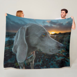 COUVERTURE POLAIRE WEIMARANER