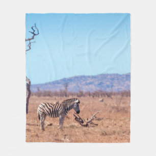 Couverture Polaire Zèbre des plaines dans le parc national de Kruger,