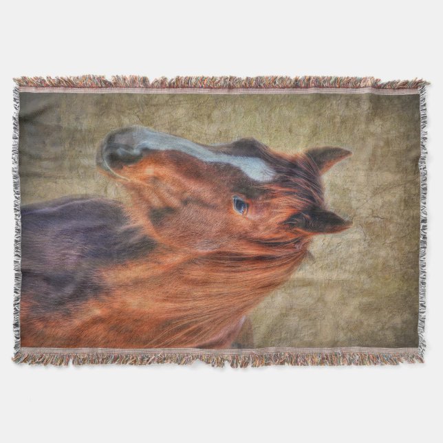 Couverture Portrait de cheval d'oseille sur le Grunge-effet (Devant)