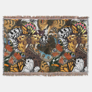 Couverture Poster de animal. Ailes papillons.