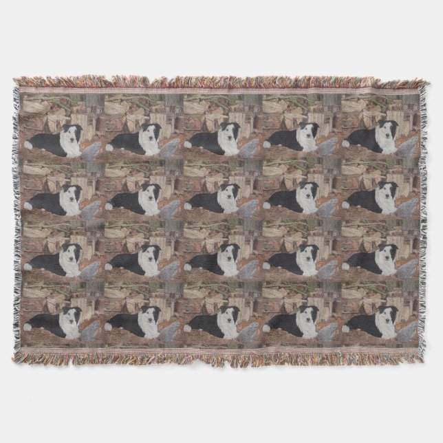 Couverture poulets de border collie en portrait de chien de (Devant)