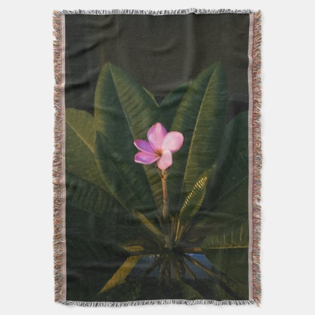 Couverture Première floraison, Plumeria (devant Vertical)