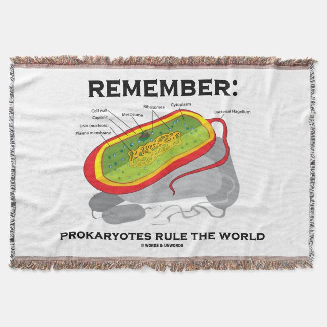 Couverture Rappelez-vous : Les Prokaryotes ordonnent la (Devant)