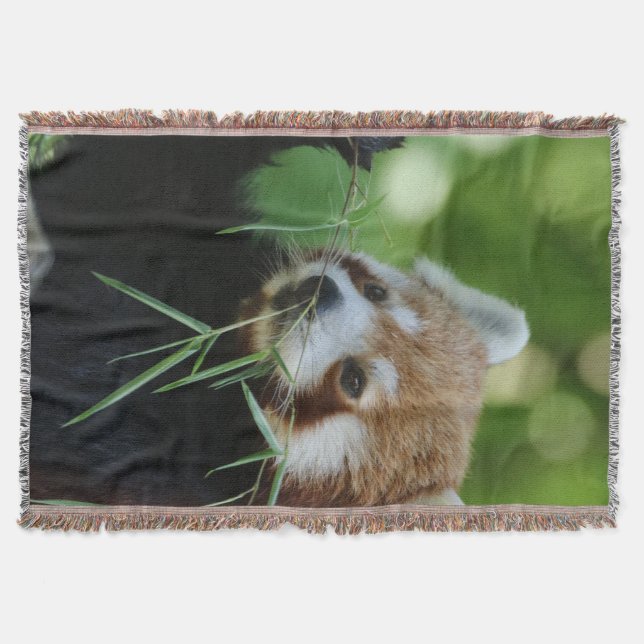 Couverture RedPanda 002 (Devant)