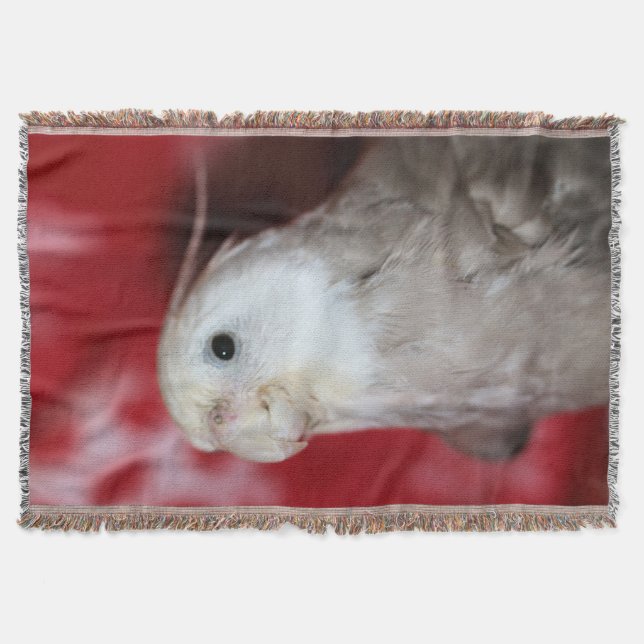 Couverture Reeples (Devant)