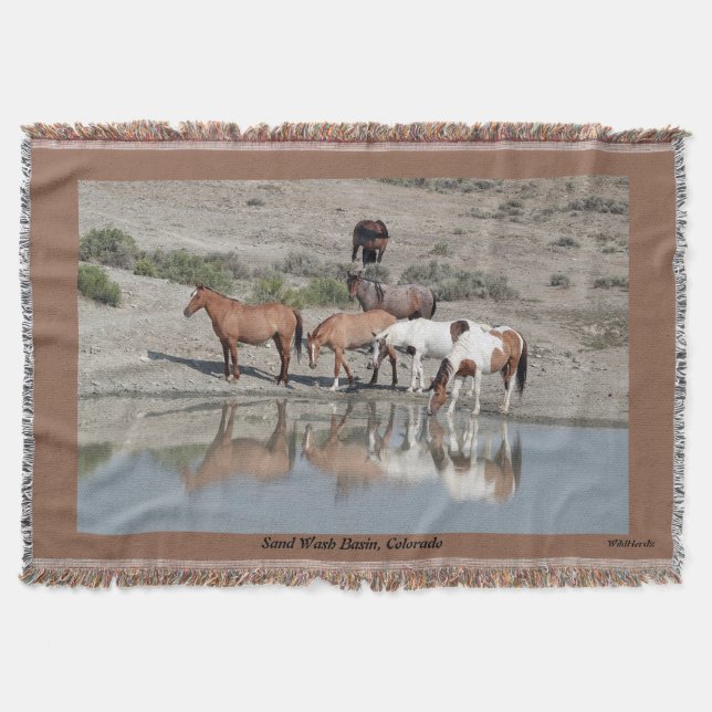 Couverture Réflexions de Cheval Sauvage (Devant)
