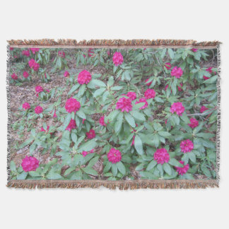 Couverture Rhododendron