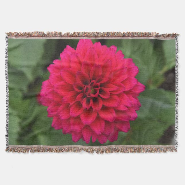 Couverture rouge de jet de dahlia (Devant)