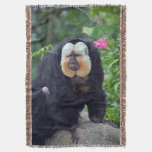 Couverture Saki Monkey