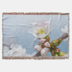 Couverture Sakura Blossom