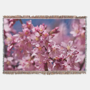 Couverture Sakura Cerry Blossoms Baisés Par Le Soleil