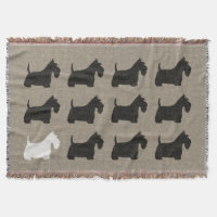 Scottish Terriers | Chiens écossais noirs et blanc