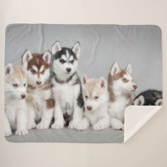 COUVERTURE SHERPA 6 CHIOTS ENROUÉS (Devant (Horizontal))