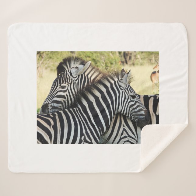 Couverture Sherpa Accrocher (Devant (Horizontal))