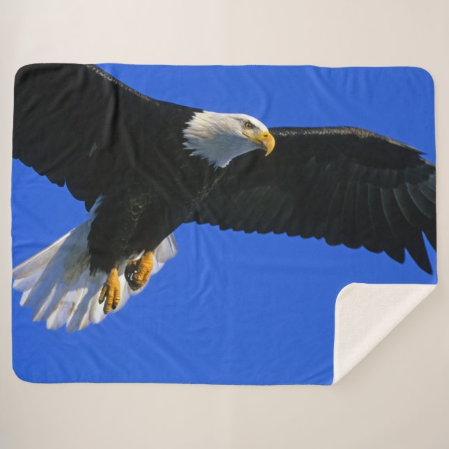 COUVERTURE SHERPA AIGLE EN TRAIN (Devant (Horizontal))