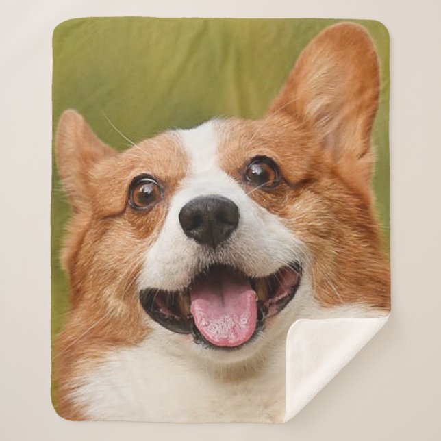Couverture Sherpa Ajouter photo de chien personnalisé Customisé (Devant)