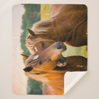 Couverture Sherpa Amour inconditionnel