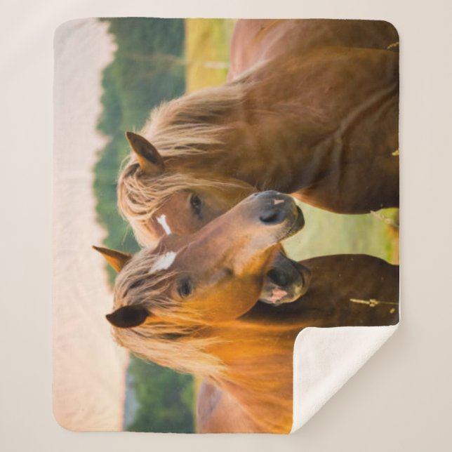 Couverture Sherpa Amour inconditionnel (Devant)