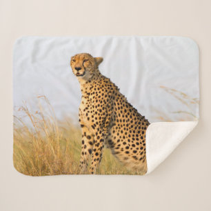Couverture Sherpa Amoureux des chats cheetah photo
