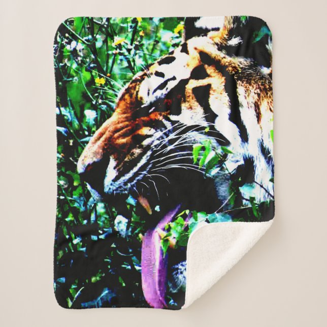 Couverture Sherpa Amur Tiger sbcna (Devant)