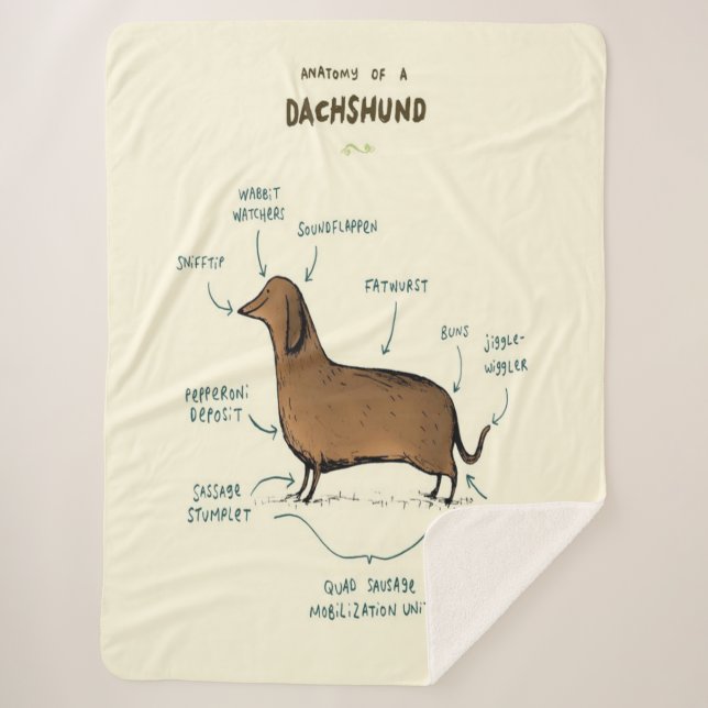 Couverture Sherpa Anatomie D'Un Dachshund| Amoureux de les chiens de (Devant)