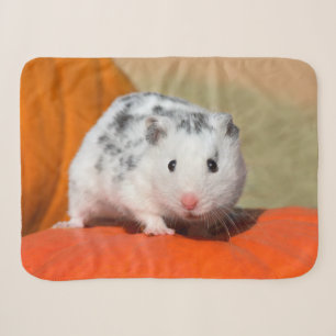 Couverture Sherpa Animal familier noir blanc de SpotsFunny de