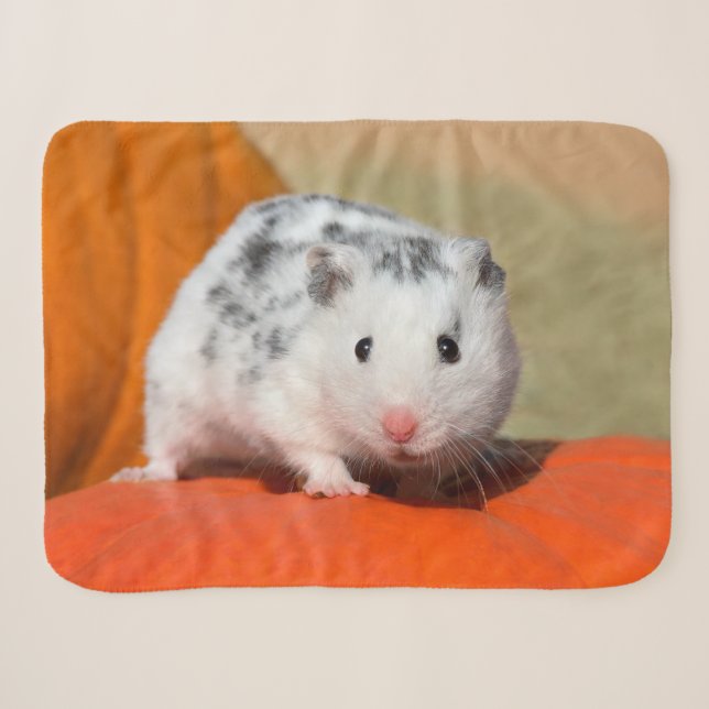 Couverture Sherpa Animal familier noir blanc de SpotsFunny de (Devant (Horizontal))