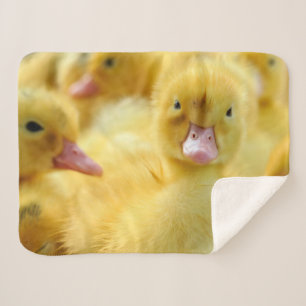 Couverture Sherpa Animaux de bébés cutest   Baby Duck Group