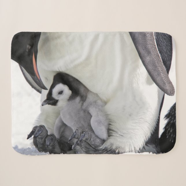 Couverture Sherpa Animaux de bébés cutest | Baby Empereur Penguin (Devant (Horizontal))