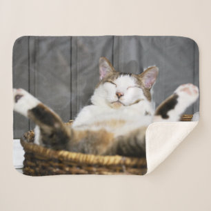 Couverture Sherpa Animaux de bébés cutest Chat dans le lit