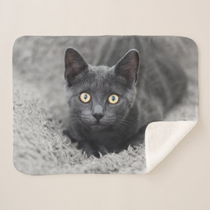 Couverture Sherpa Animaux de bébés cutest Chat gris