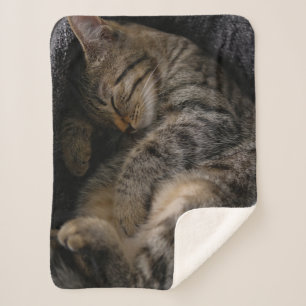 Couverture Sherpa Animaux de bébés cutest Chat Tabby Dormant